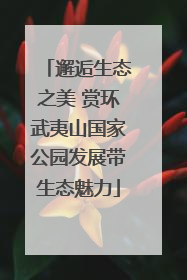 邂逅生态之美 赏环武夷山国家公园发展带生态魅力